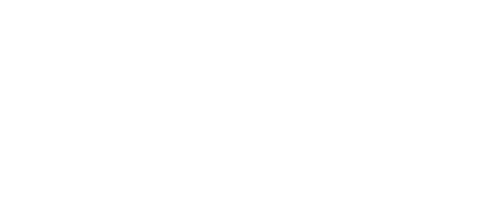 Chicago Journal